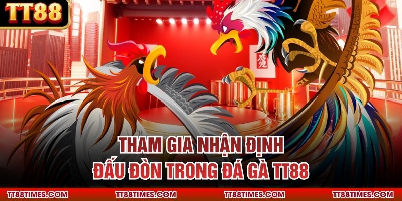 Tham gia nhận định đấu đòn trong đá gà TT88 Tham gia nhận định đấu đòn trong đá gà TT88